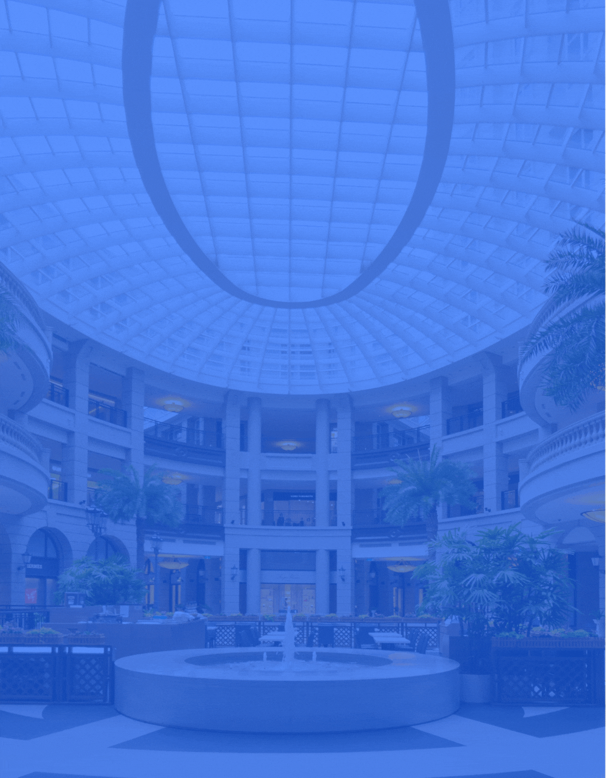 Vive la experiencia Optima Retail